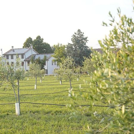 Casa Di Alba - Alloggi Turistici Apartman Vigolzone Kültér fotó